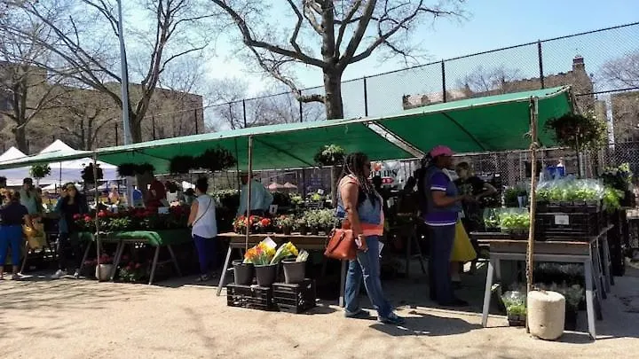 Explore New York From Queens